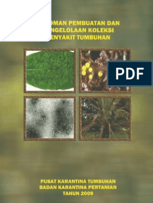 Cara Bunuh Specimen 043 di Hutan