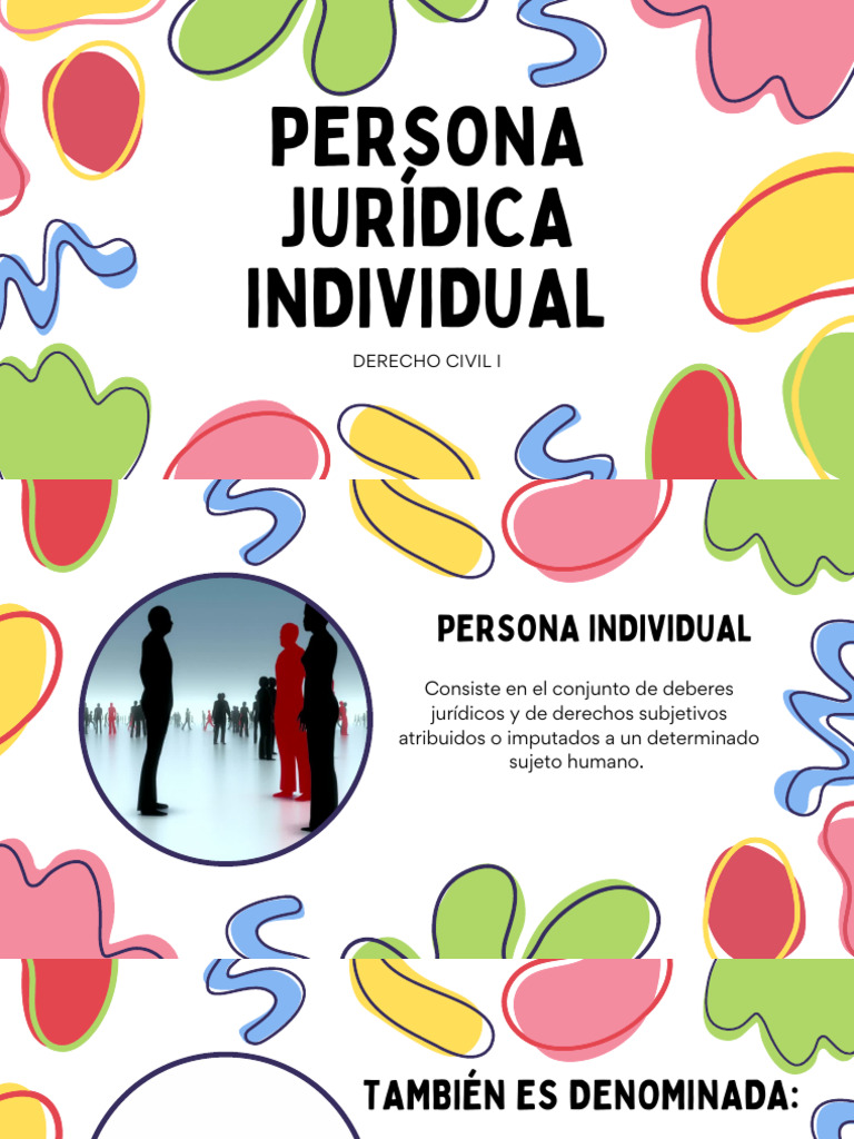 Persona Individual | PDF | Gobierno | Instituciones sociales
