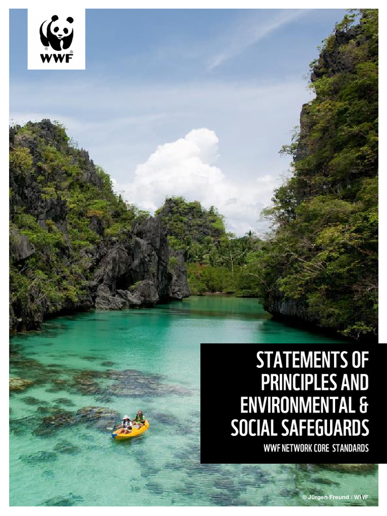 2023 ESSF & SoPS | PDF | World Wide Fund For Nature | Risk