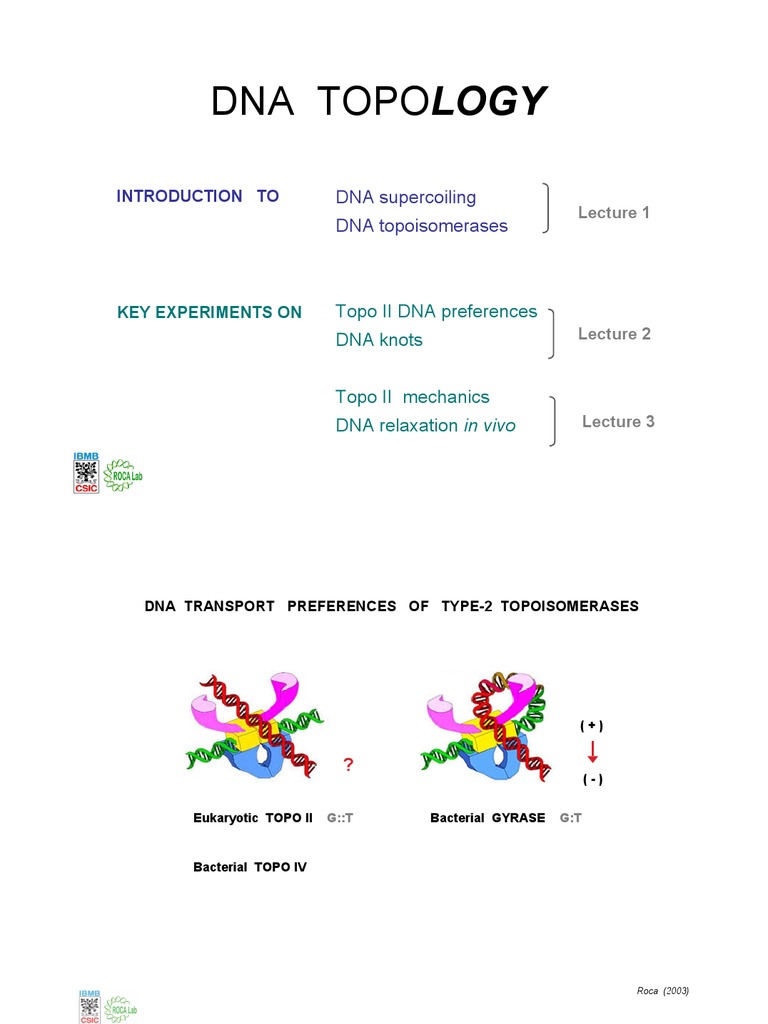 Dna Topology: Introduction To | PDF | Dna | Base Pair