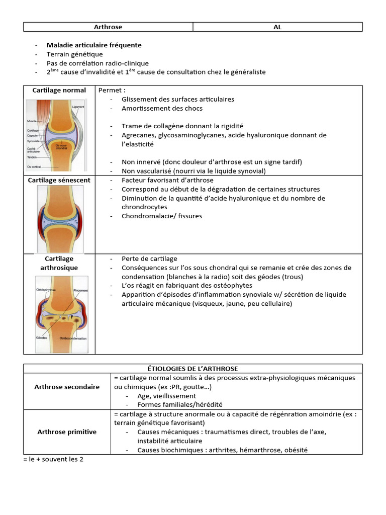 Comprendre l'Arthrose et ses Types | PDF | Arthrose | Cartilage