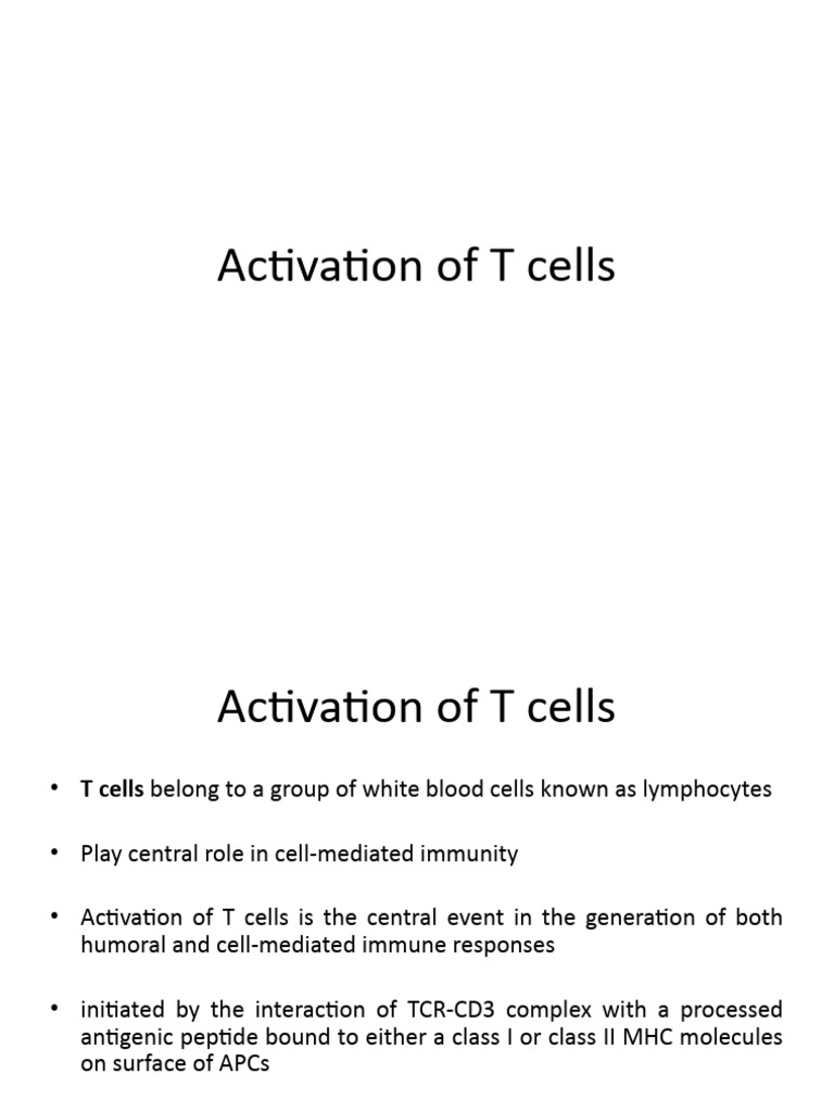 T Cell Activation and Development Process | PDF | T Cell | Cell Signaling