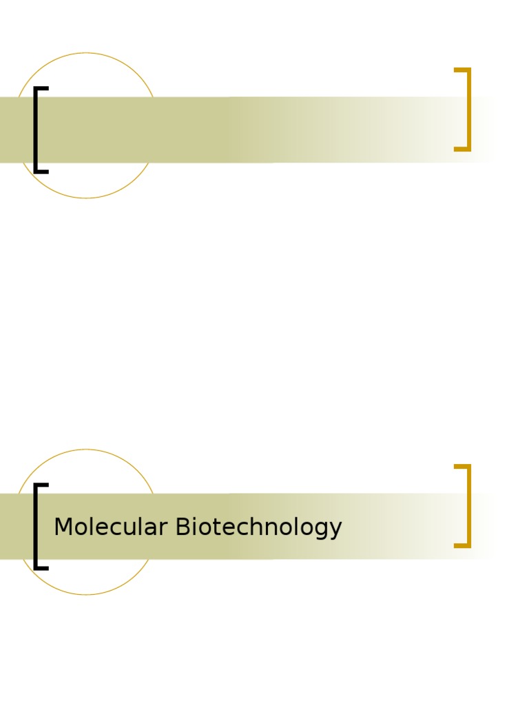 Molecular Biotechnology Fundamentals | PDF | Polymerase Chain Reaction ...