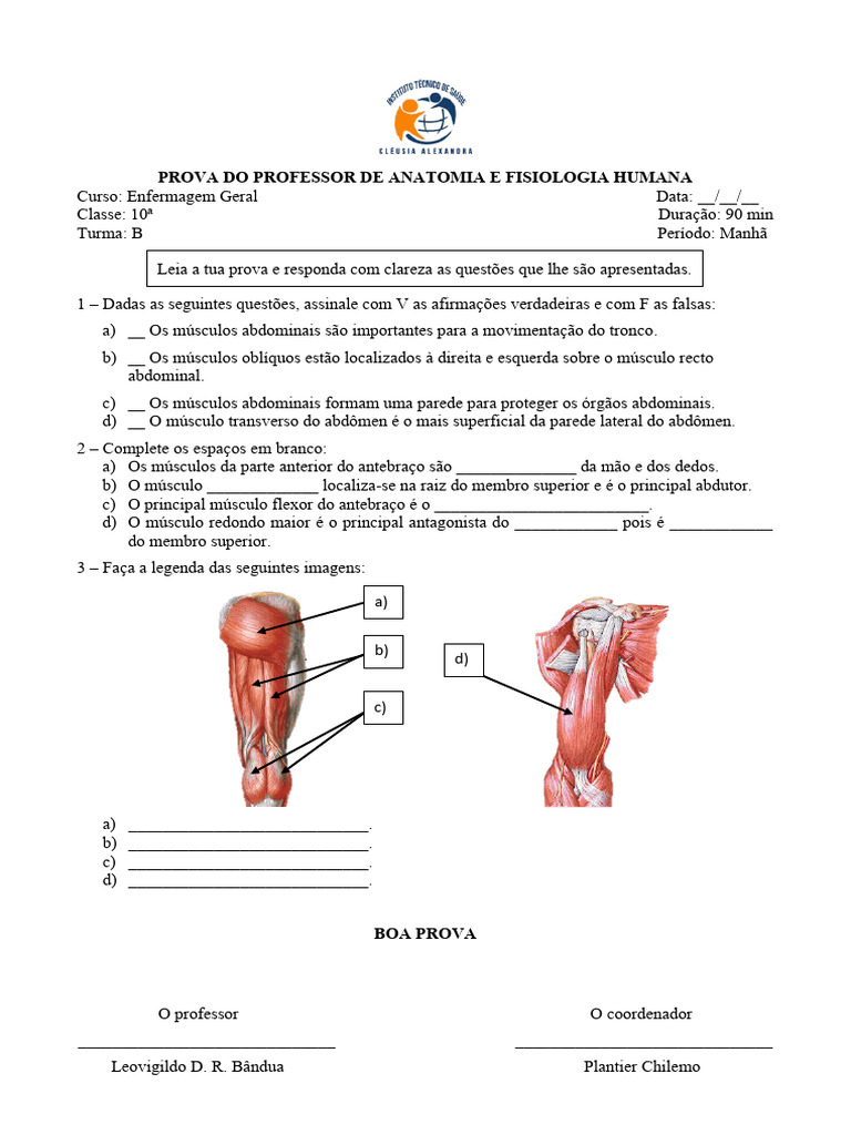 Prova de Anatomia e Fisiologia Humana | PDF | Orelha | Audição