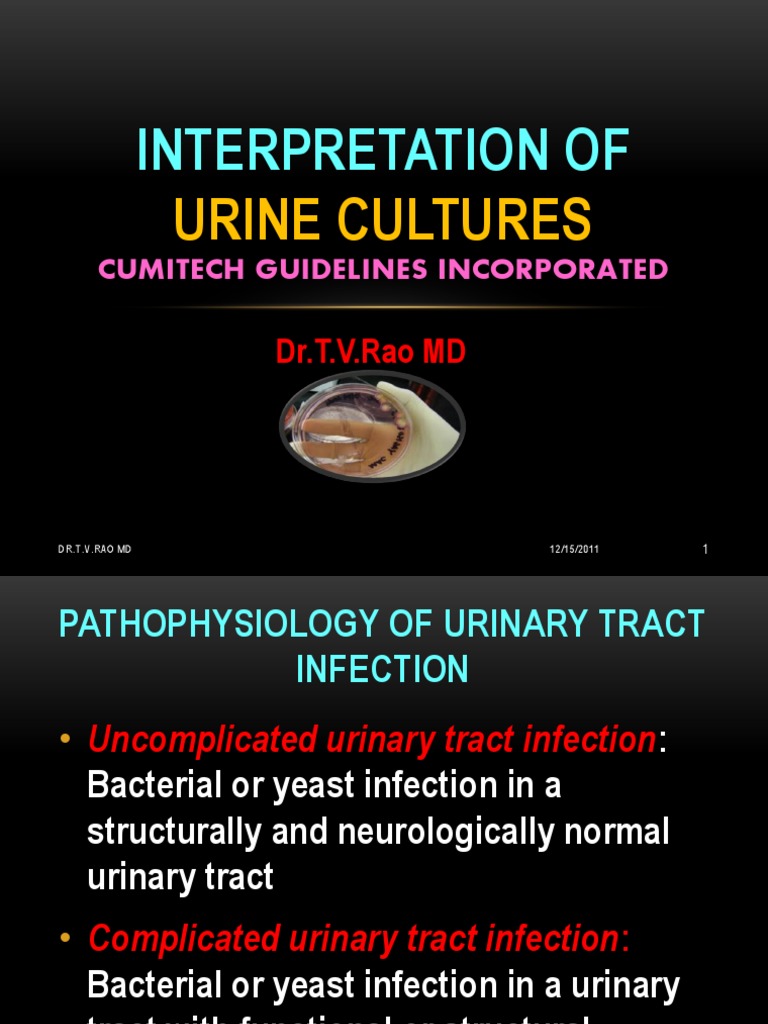 Interpretation of Urine Cultures Urinary Tract Infection Urinary System