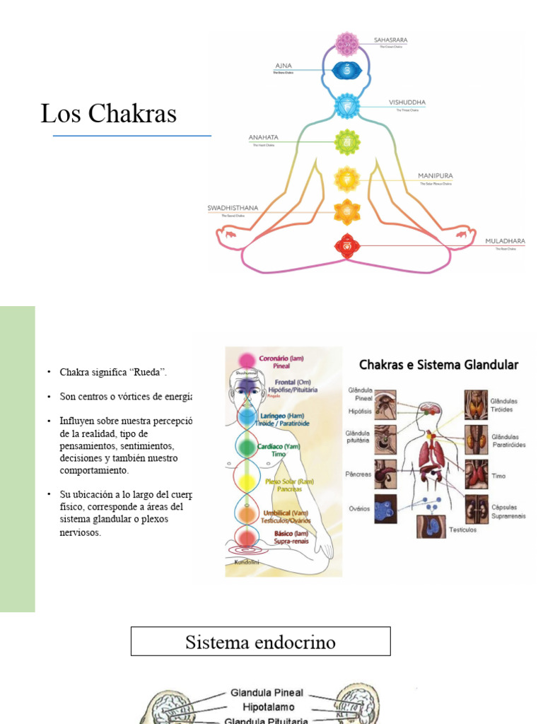 Guía Completa de los Chakras y su Función | PDF | Hipotálamo | Comprensión