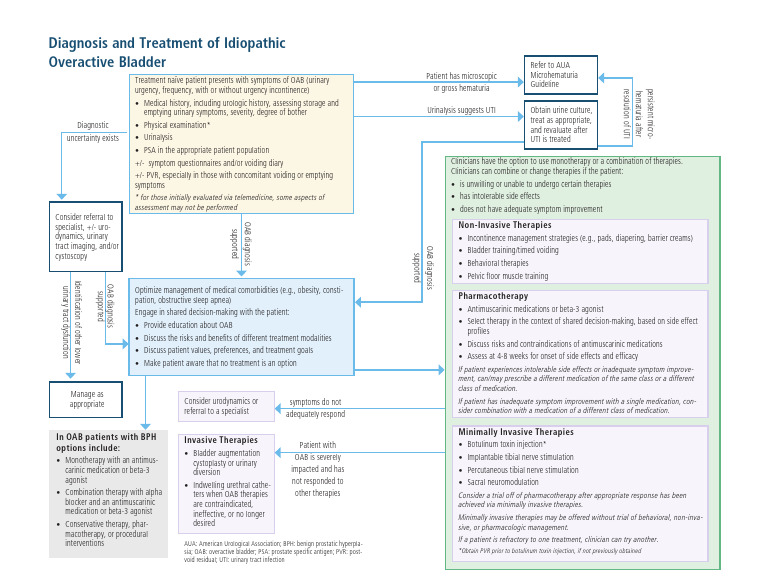 JU Summary OAB Algorithm | PDF | Urinary Incontinence | Clinical Medicine