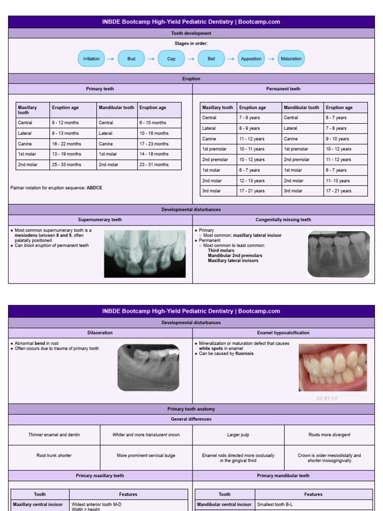 Pediatric Dentistry Essentials | PDF | Tooth | Mouth