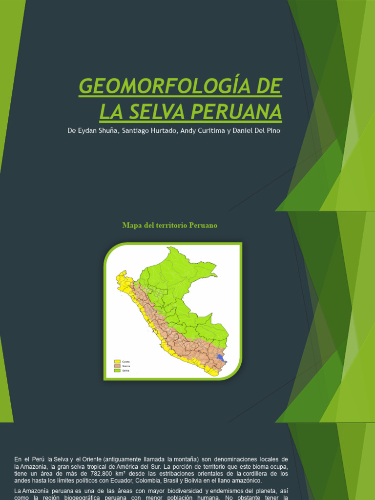 Geomorfología de La Selva Peruana | PDF | Ciencias de la Tierra