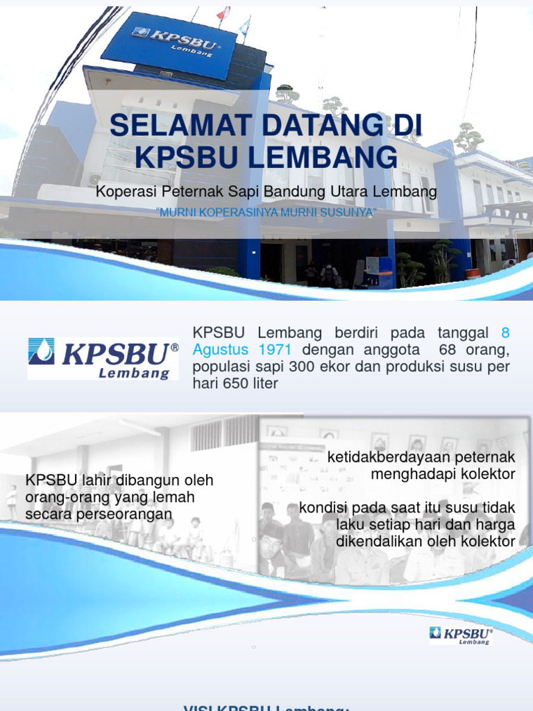 Koperasi Peternak Sapi KPSBU Lembang | PDF