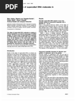 Marc Adrian, Beatrice ten Heggeler-Bordier, Walter Wahli, Alicja Z.Stasiak, Andrzej Stasiak and Jacques Dubochet- Direct visualization of supercoiled DNA molecules in solution