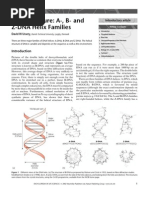 David W. Ussery- DNA Structure