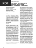 Keiji Kimura, Valentin V. Rybenkov, Nancy J. Crisona, Tatsuya Hirano and Nicholas R. Cozzarelli- 13S Condensin Actively Reconfigures DNA by Introducing Global Positive Writhe