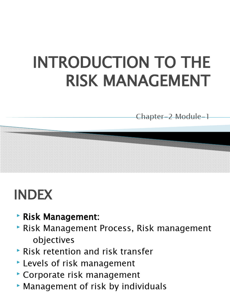 Comprehensive Guide to Risk Management | PDF | Risk | Risk Management
