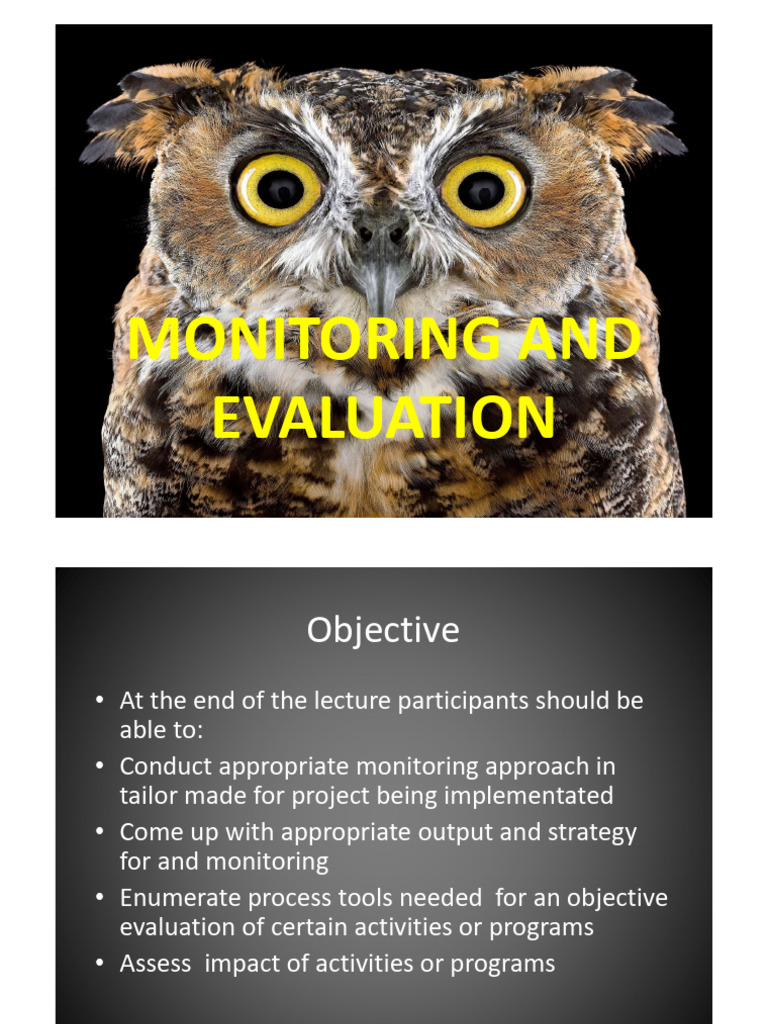 12i - IVM Monitoring and Evaluation | PDF | Evaluation | Decision Making