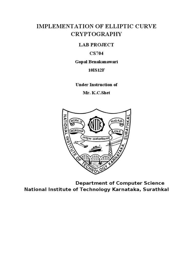 Implementation of Elliptic Curve Cryptography: Lab Project CS704 | PDF ...