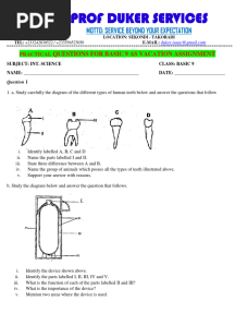 Int. Science - Basic 9 - Practical Question - Prof Duker