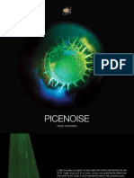 Picenoise