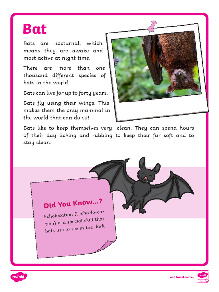 Au L 2548669 Curious Creatures Wild Minds Fact Files - Ver - 9 | PDF ...