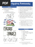 Anatomia e Funções do Rúmen em Ruminantes | PDF | Ruminante | Gases