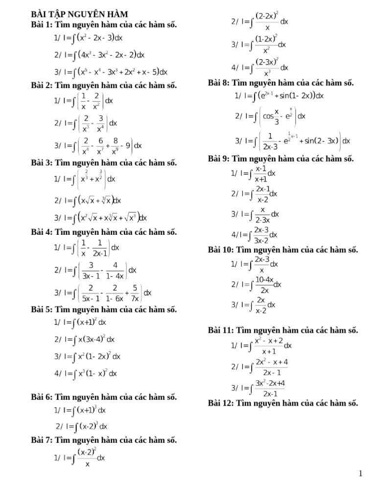 BAI TAP NGUYEN HAM | PDF