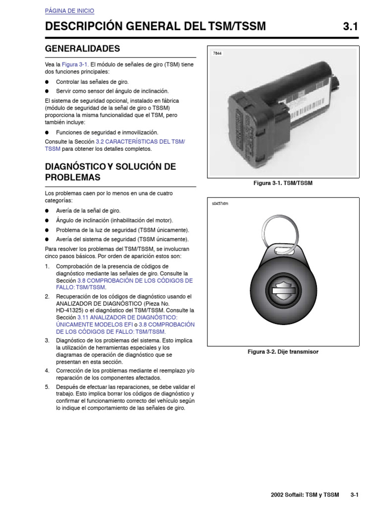 Descripción General Del TSM/TSSM 3.1: Generalidades | PDF | Motocicleta ...