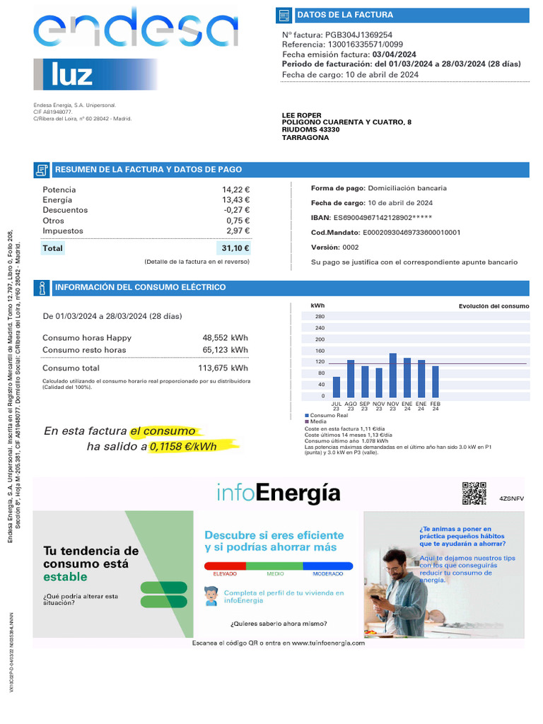 Datos de Factura de Endesa Energía | PDF | Cantidades fisicas | Energia ...