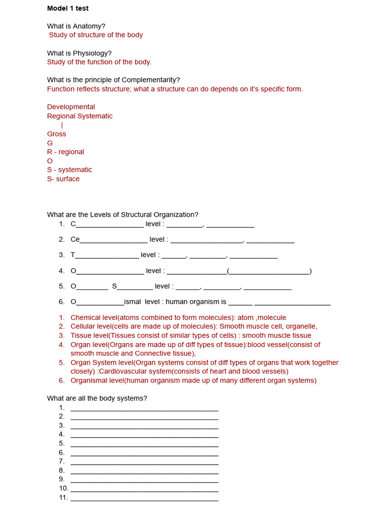 Model 1 Test With Answers | PDF | Anatomical Terms Of Motion ...