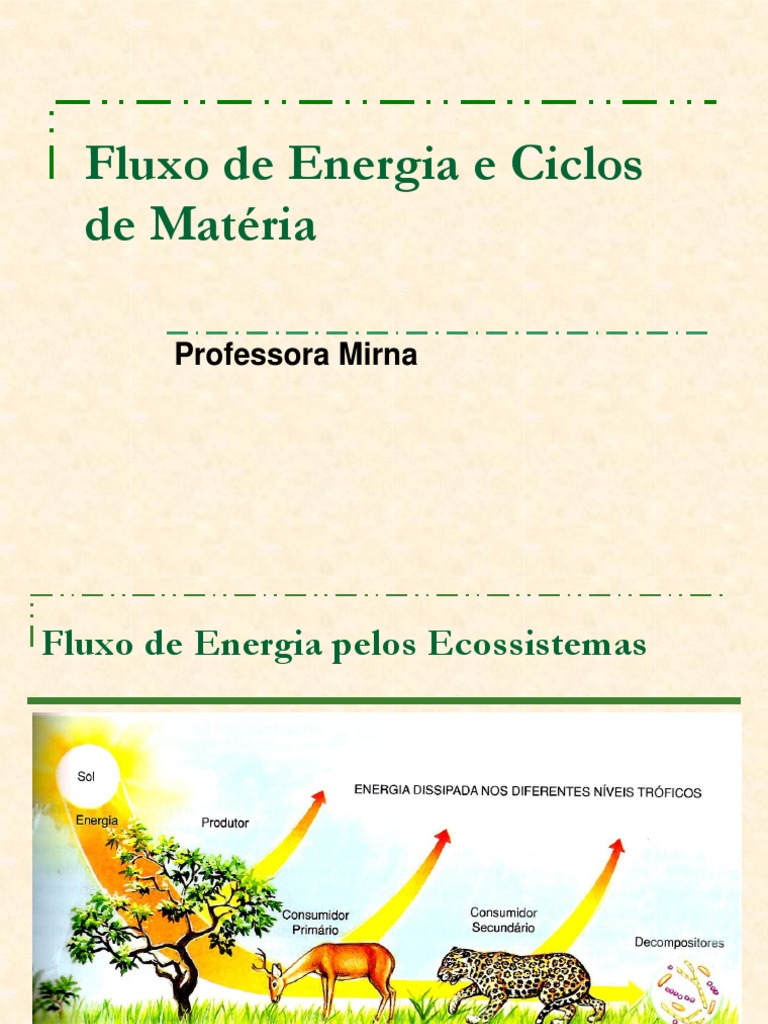 Em Relação Ao Fluxo De Energia Na Biosfera Considere Que