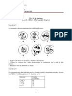 TD N°05 de Génétique Le Cycle Cellulaire Et Cartographie Des Gènes