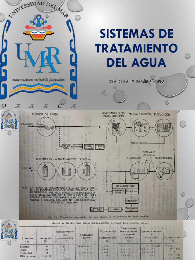 Sistemas de Tratamiento de Agua Potable Parte 1 | PDF | Agua ...