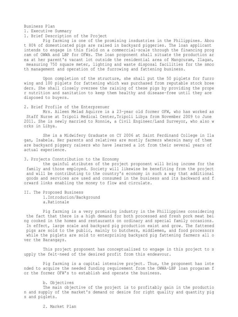 Sample of business plan pdf image