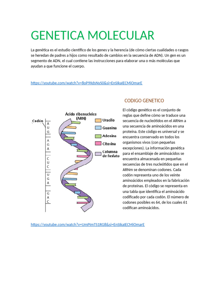 Fundamentos de Genética Molecular | PDF | Adn | Codigo genetico
