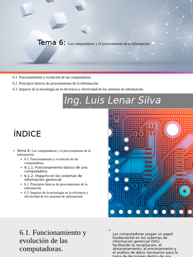 Tema 6-5 | PDF | Hardware de la computadora | Almacenamiento de datos ...