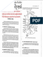 Evrim Atölyesi - 5. Oturum Notları