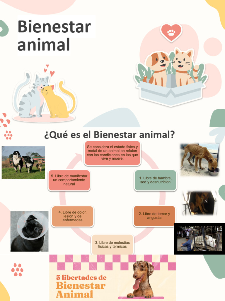 Bienestar Animal y Tenencia Responsable | PDF | Mascota | Abuso infantil