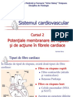 CardioVascular 2