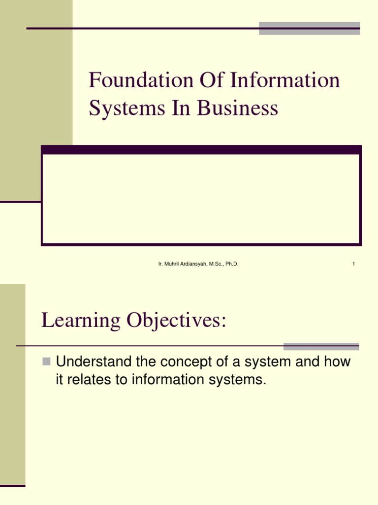 Information Systems in Business Overview | PDF | Information System ...