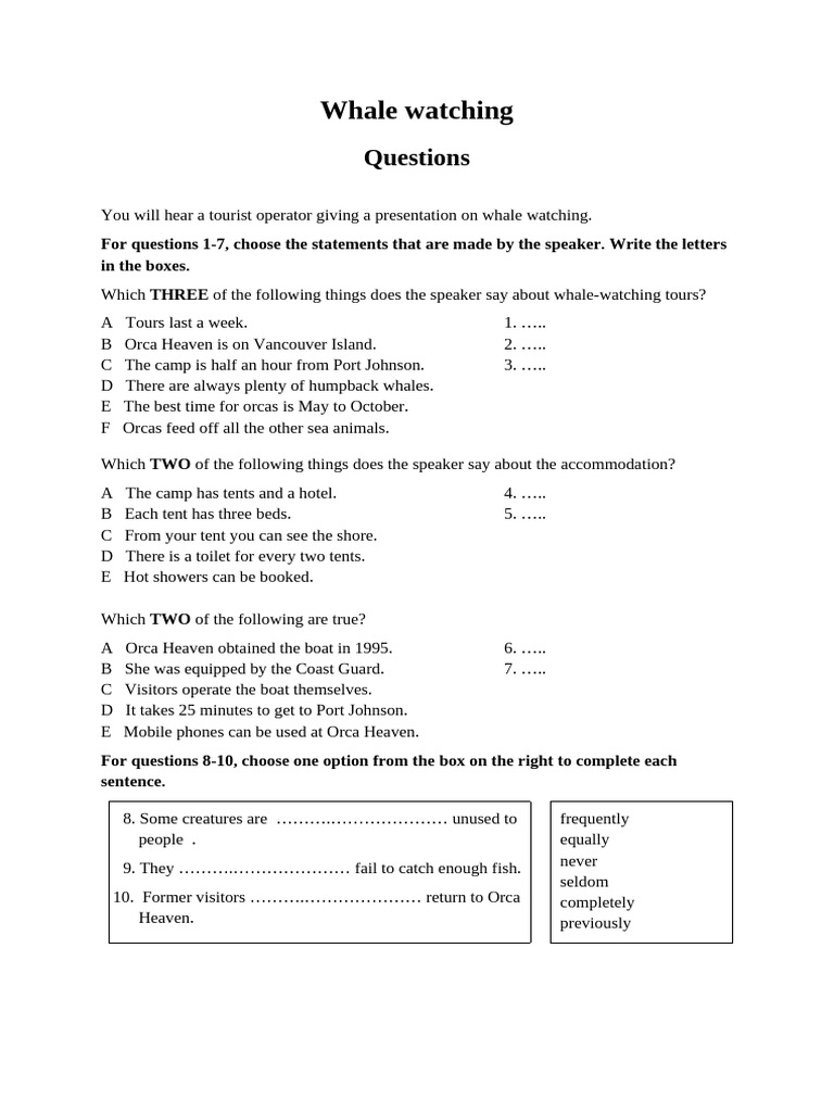 Whale Watching Tours Overview | PDF