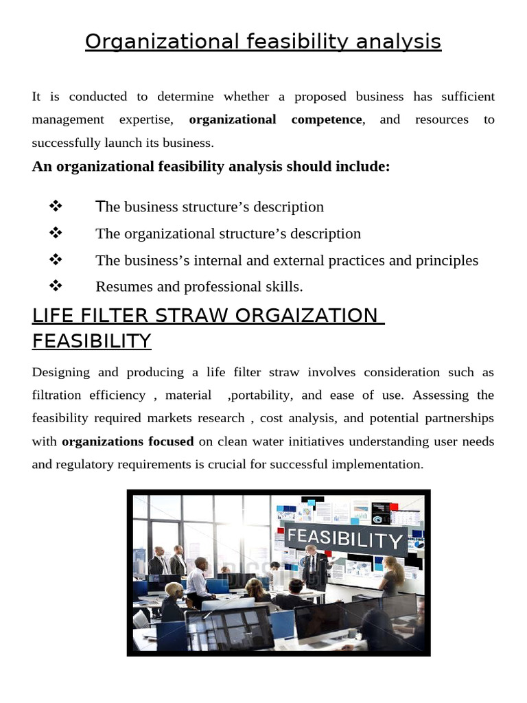 Organization Feasibility Analysis | PDF | Feasibility Study | Employment