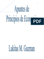 Principios de Economia - Lucas Guzman