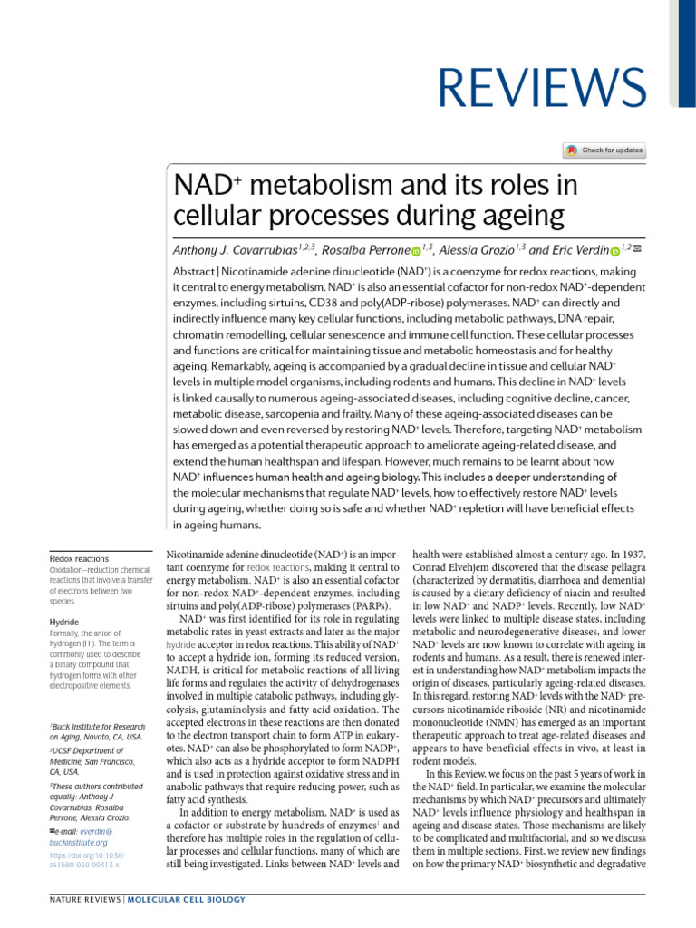 NAD+ Metabolism and Its Roles in Cellular Processes During Ageing | PDF ...