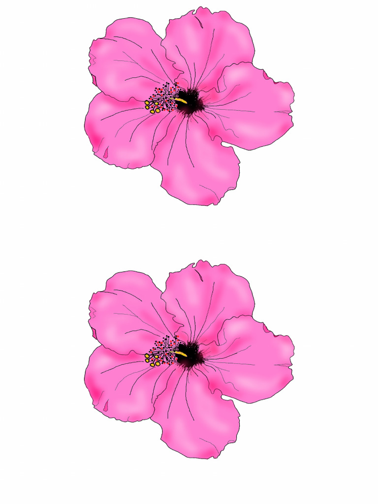 Fleur | PDF