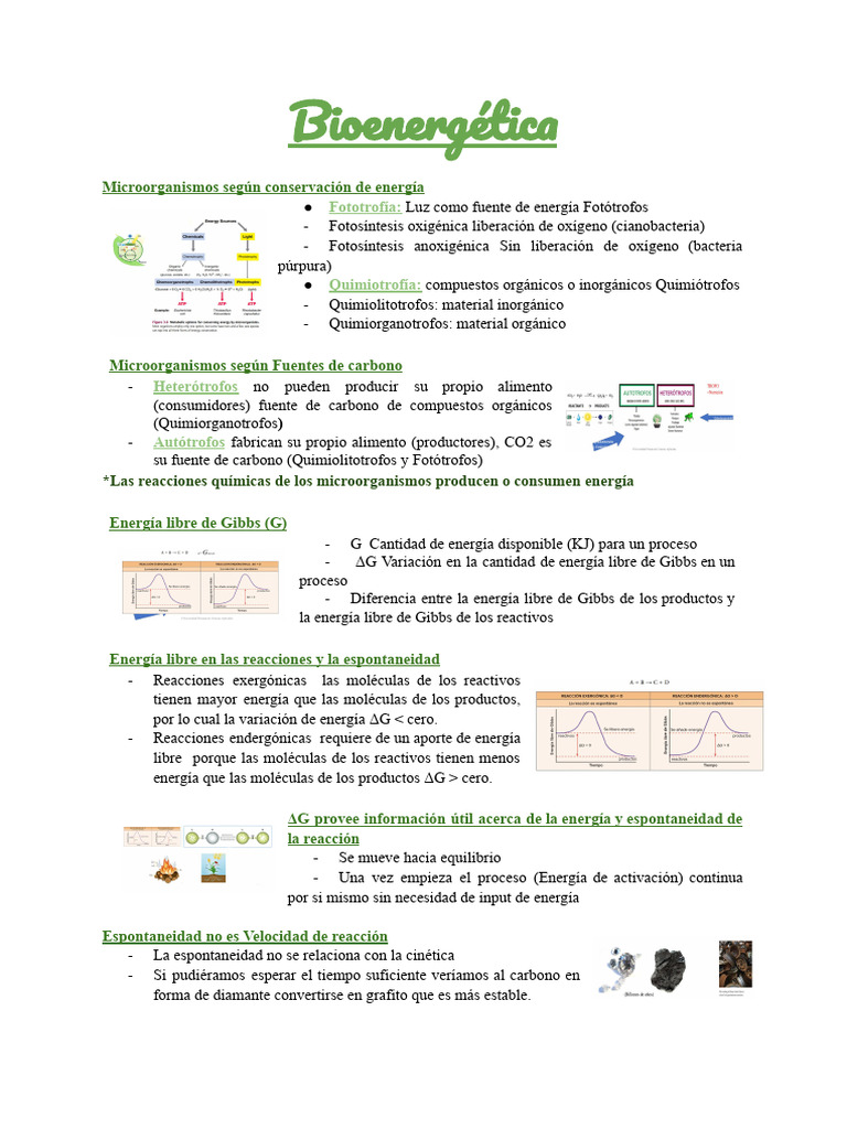 Bioenergética | PDF | Redox | Enzima
