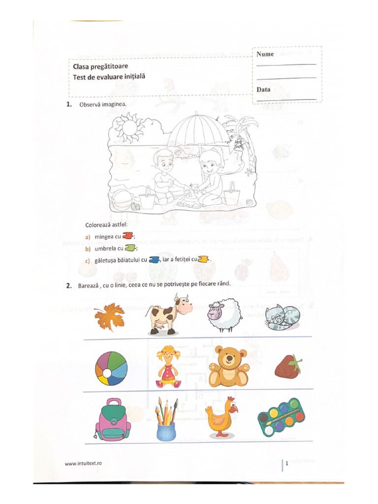 Test de Evaluare Initialã | PDF