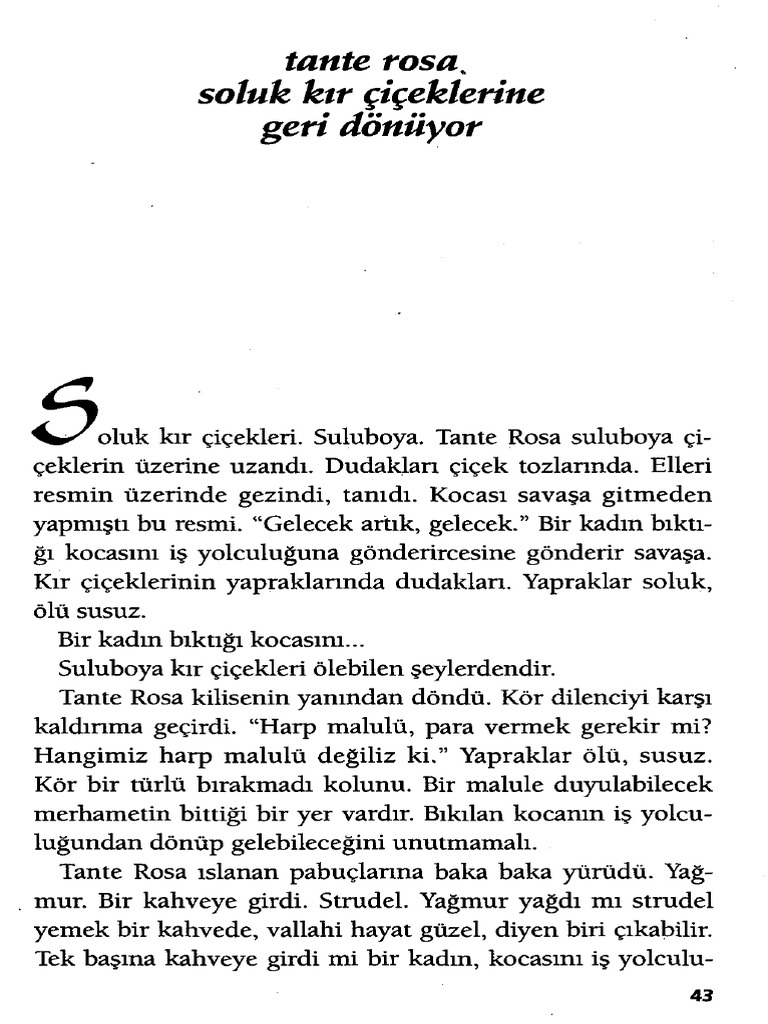 Sevgi SoysalTante RosaSoluk Kır Çiçeklerine Geri