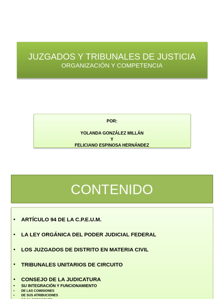 05 Juzgados y Tribunales de Justicia Yola y Feli | PDF | Judicaturas ...