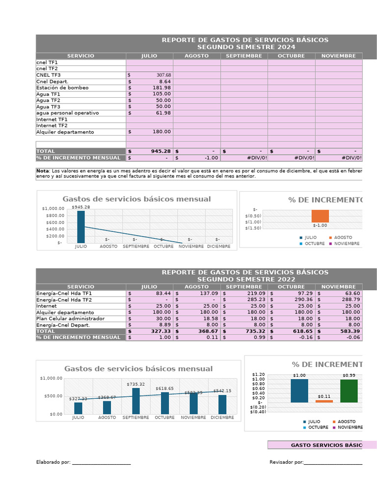 Rporte de Servicios Basicos 2do Semestre 2024 | PDF