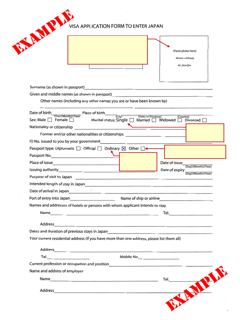 Visa Student Example English | PDF | Passport | Human Migration