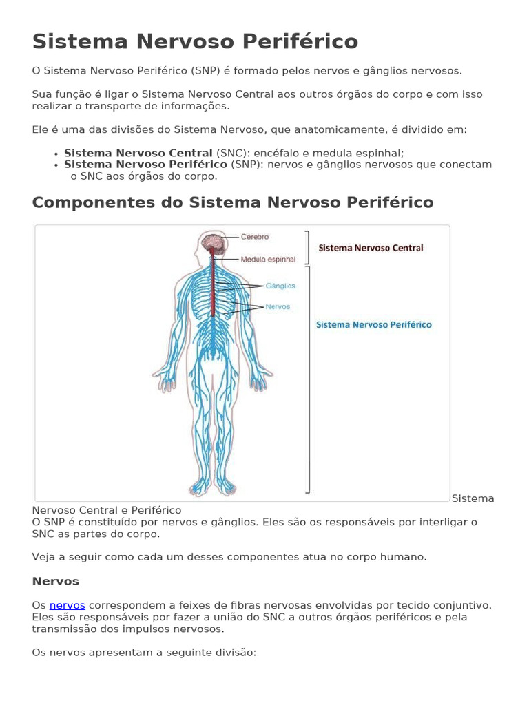 Sistema Nervoso Periférico | PDF | Sistema nervoso central | Nervo